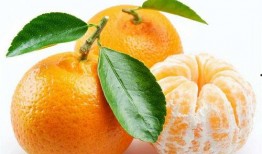 瓜瓜吃瓜ppt 今日吃瓜热门大瓜必看大瓜网红,今日热门大瓜，网红必看盘点